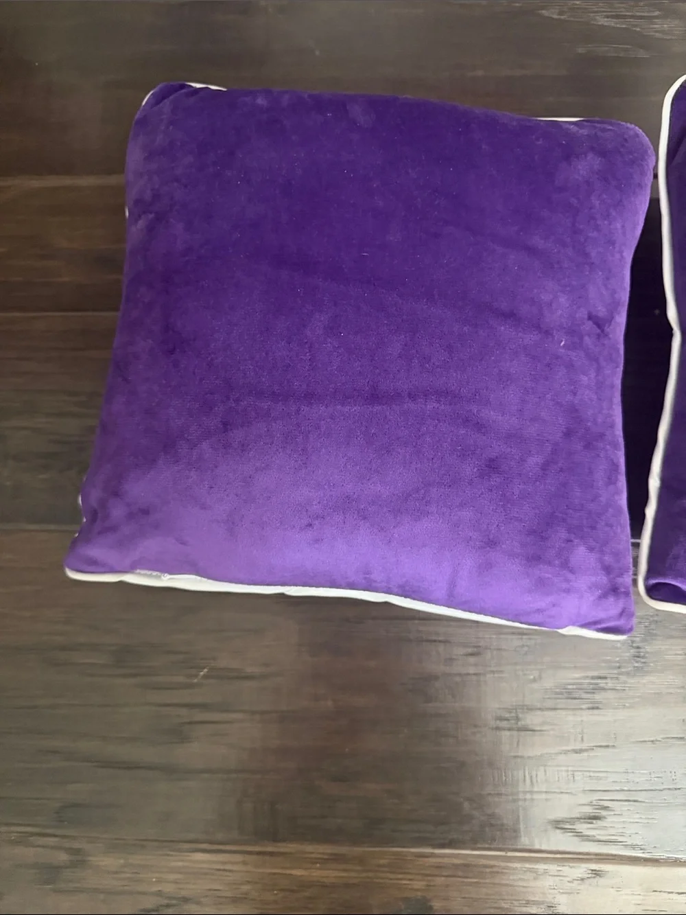 Spirit Halloween Beetlejuice Pillows Set of Two 11in x 11in